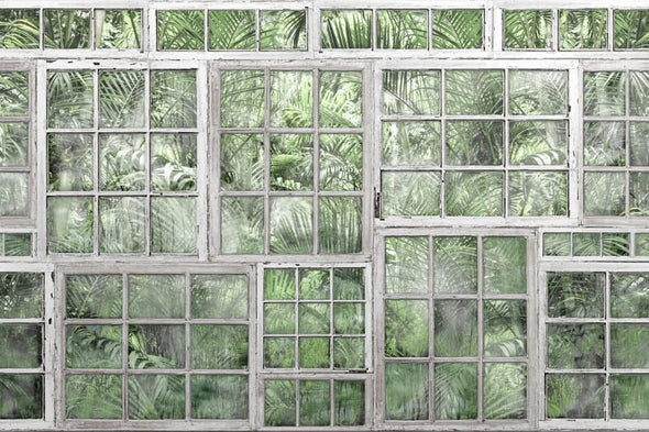 Jardin, White Window Frames