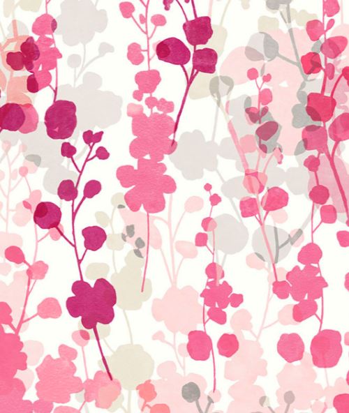 BLOSSOM - RASPBERRY