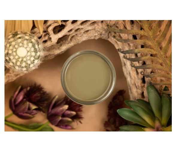 CACTUS - Silk All-in-One Mineral Paint
