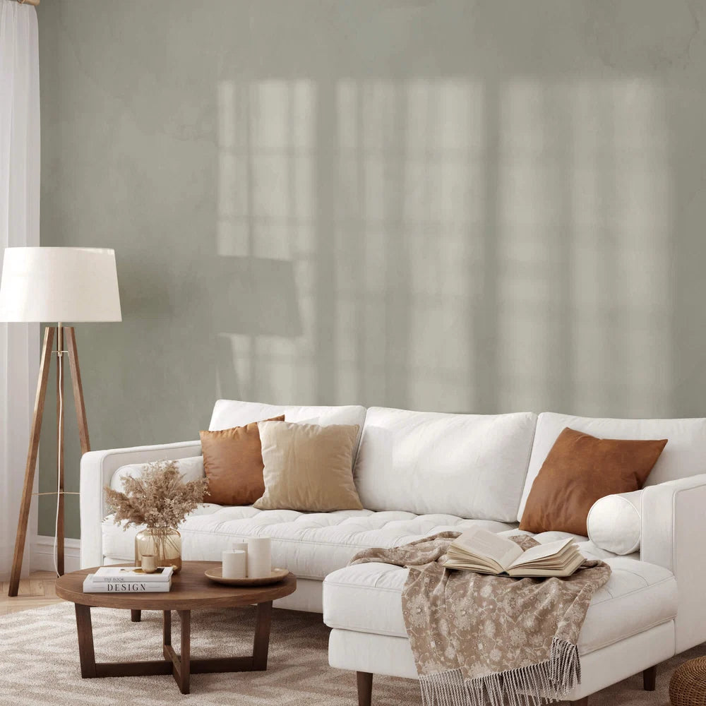 Dove Limewash Paint