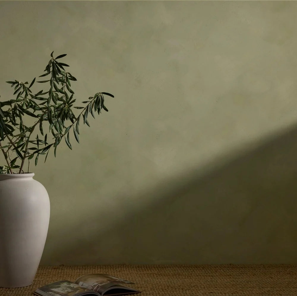 Linden Limewash Paint