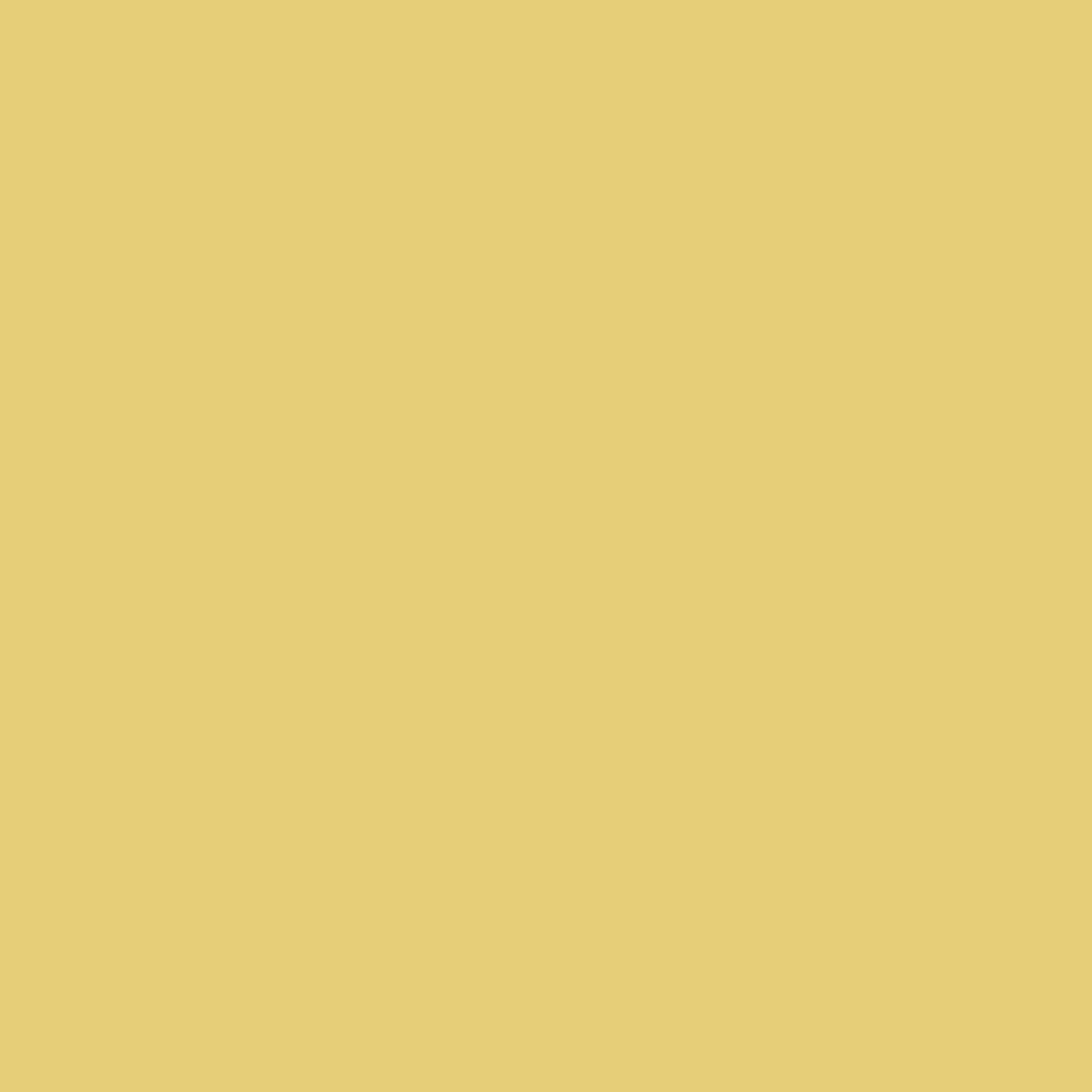 Honey Bee | Mr Jason Grant Collection | Murobond Paints