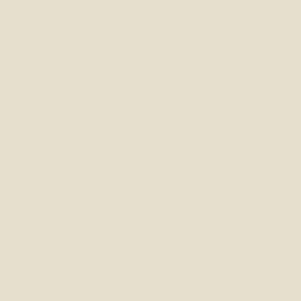 Miami Sands | Mr Jason Grant Collection | Murobond Paints