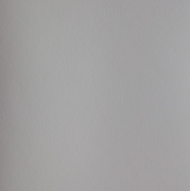 Sea Gull