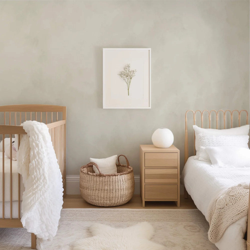 Silvergrass Limewash Paint