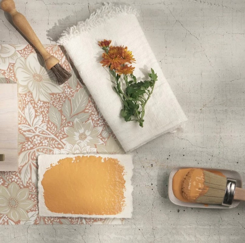 Marigold - Alchemy by Fusion