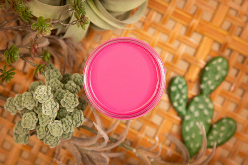 PRICKLY PEAR - Silk All-in-One Mineral Paint