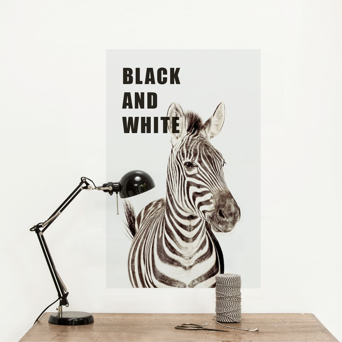 Zebra / Magnetic Posters