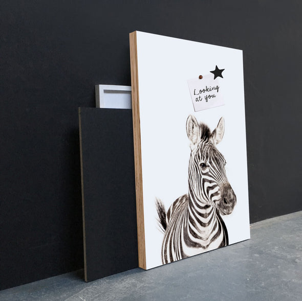 Zebra / Magnetic Posters