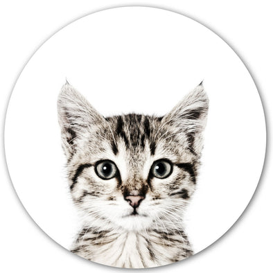 Cat / Round Magnetic Sticker