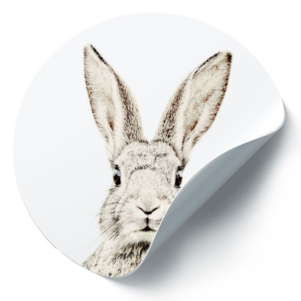 Rabbit / Round Magnetic Sticker