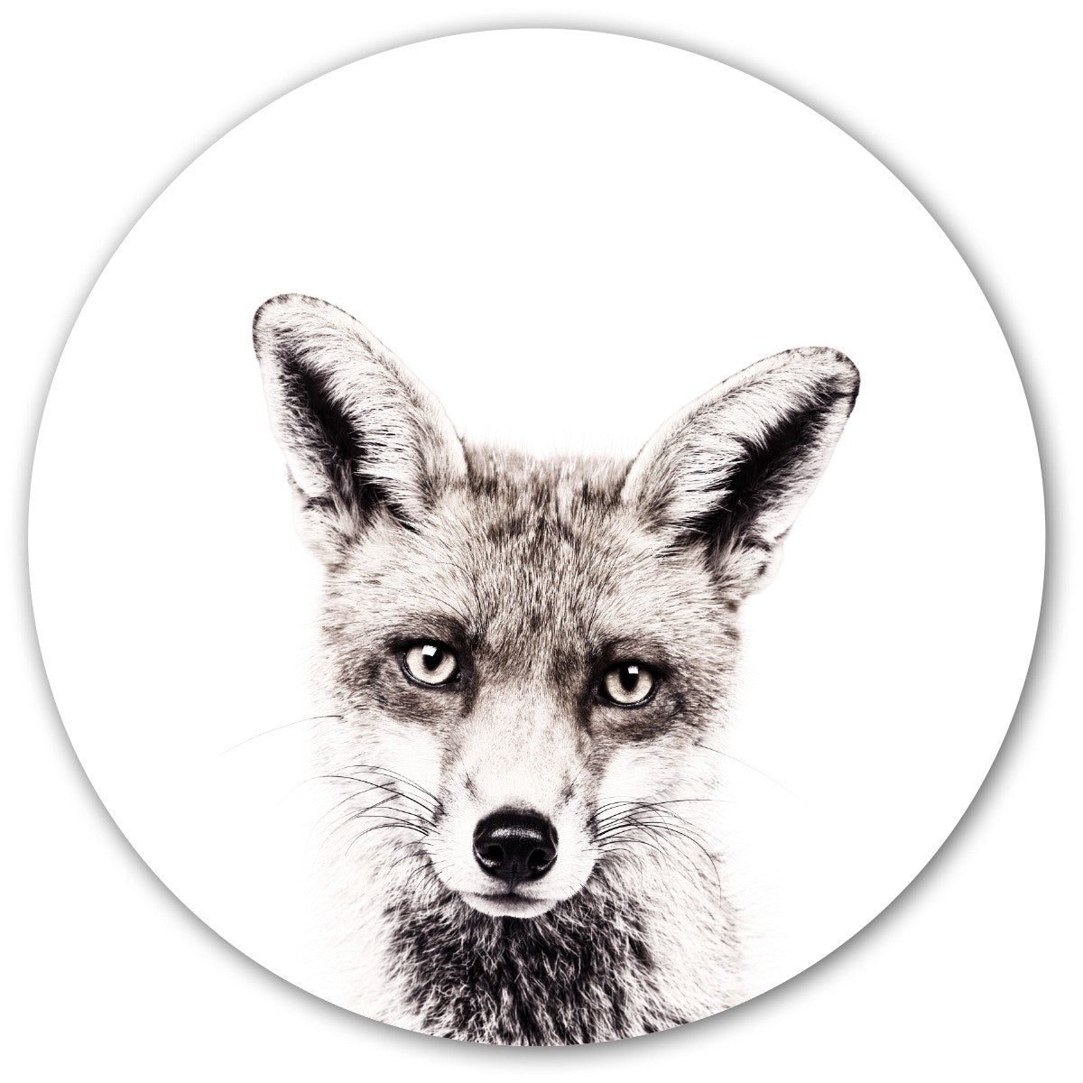 Fox / Round Magnetic Sticker