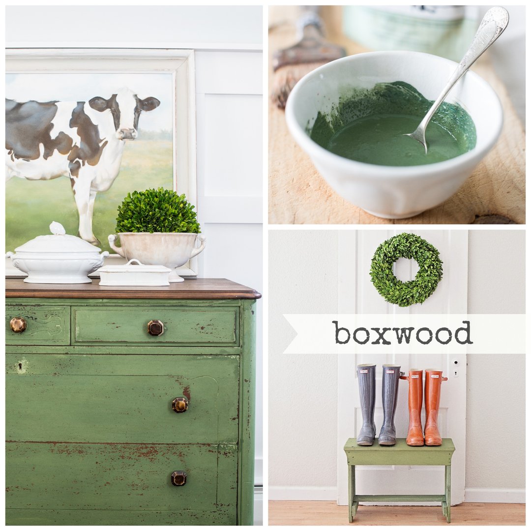 Boxwood - Miss Mustard Seed Milk Paint