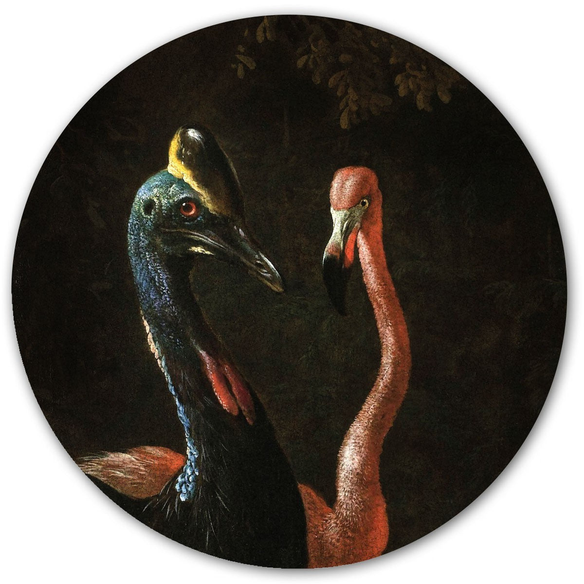 Cassowaries / Round Magnetic Sticker