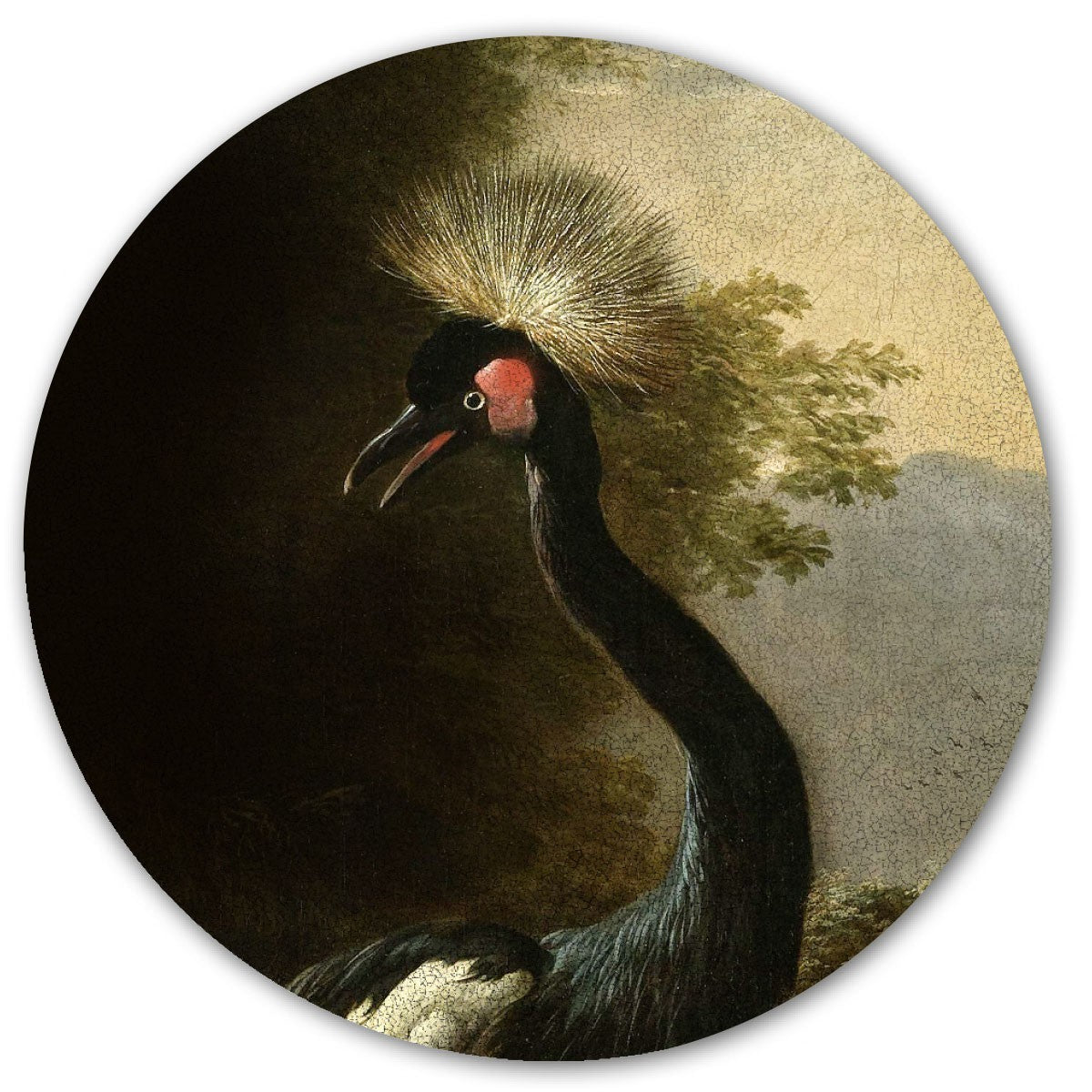 Majestic Crane / Round Magnetic Sticker