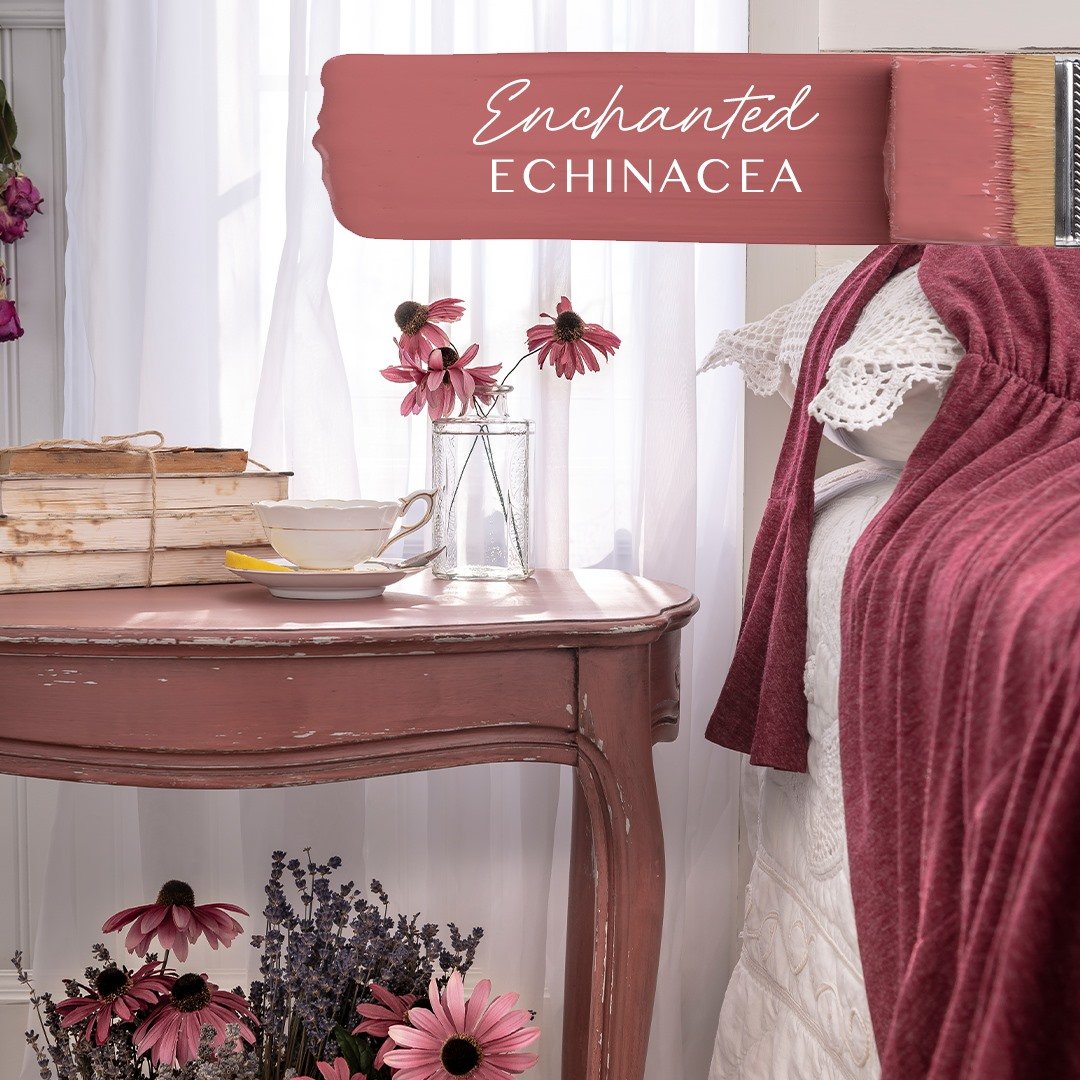 Enchanted Echinacea - Fusion Mineral Paint