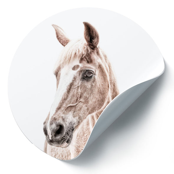 Horse / Round Magnetic Sticker