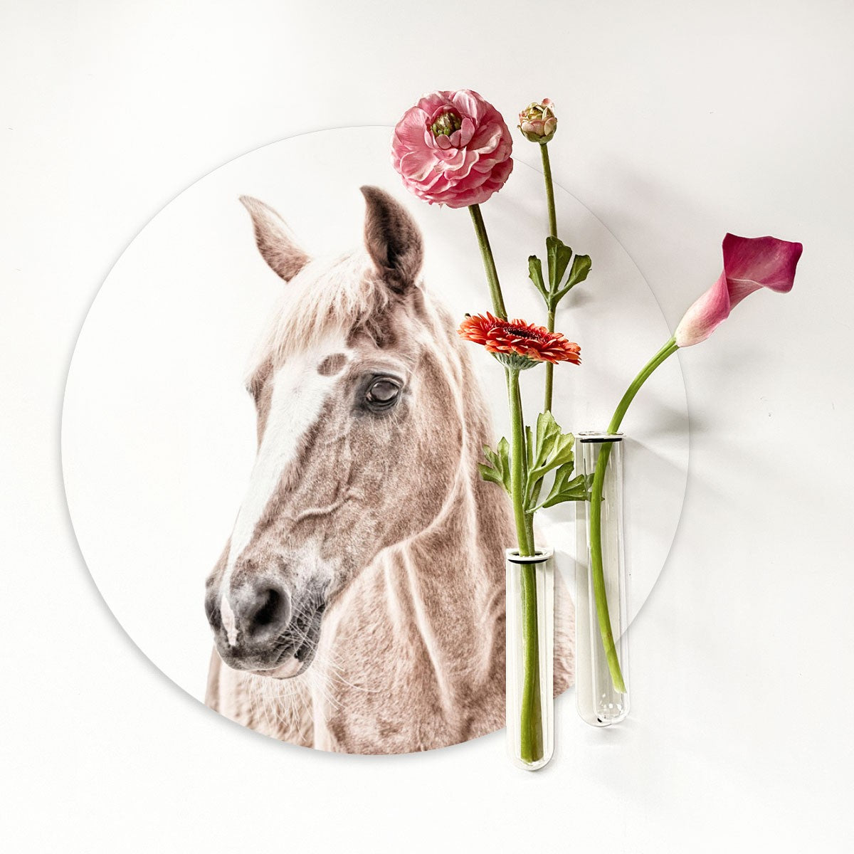 Horse / Round Magnetic Sticker