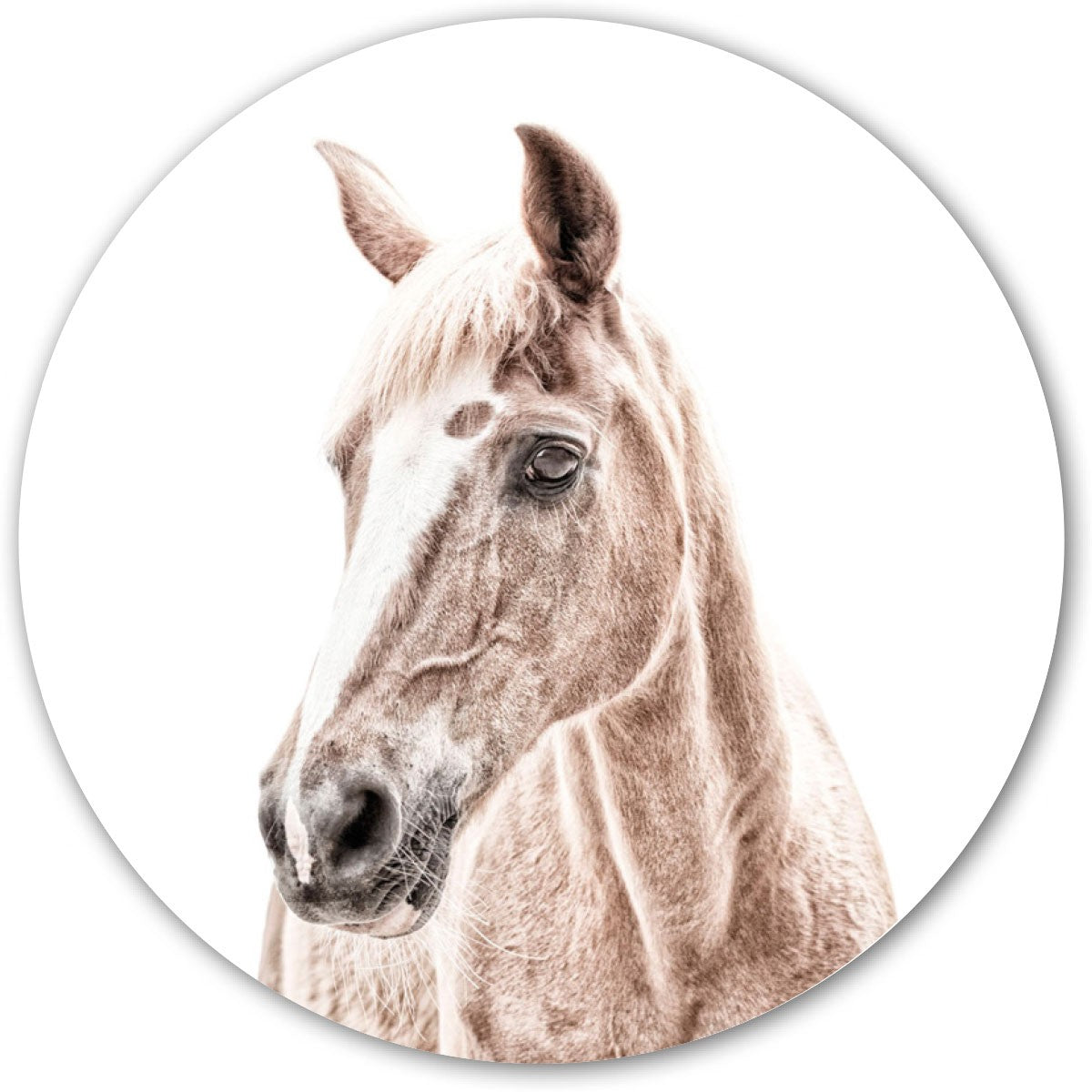 Horse / Round Magnetic Sticker