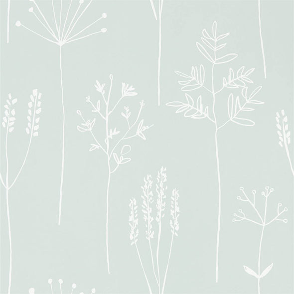 Stipa (Available in 4 colours)