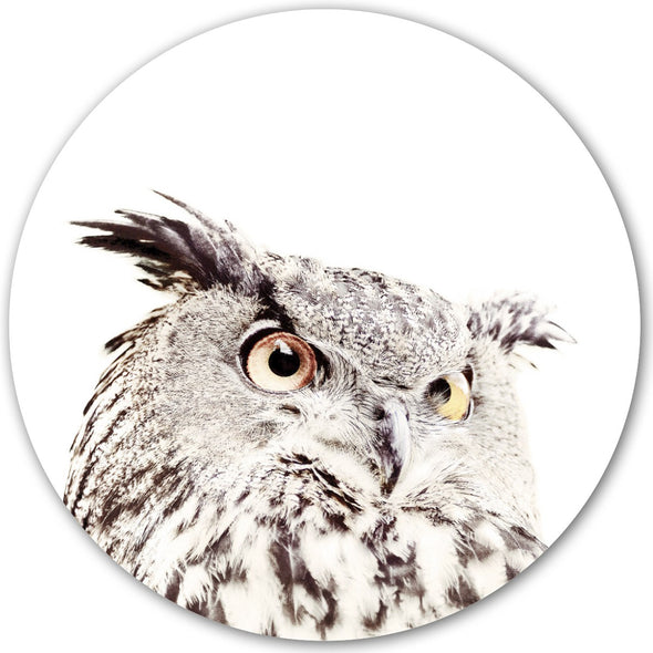 Owl / Round Magnetic Sticker