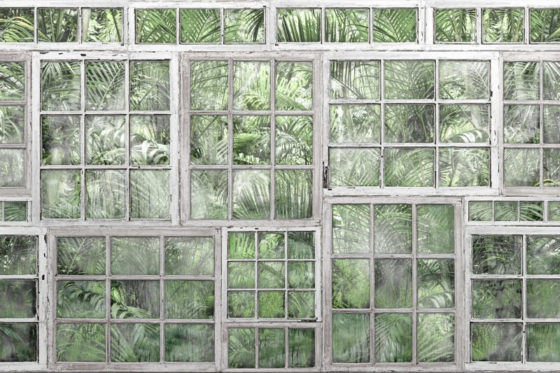 Door and Window Wallpaper Designs