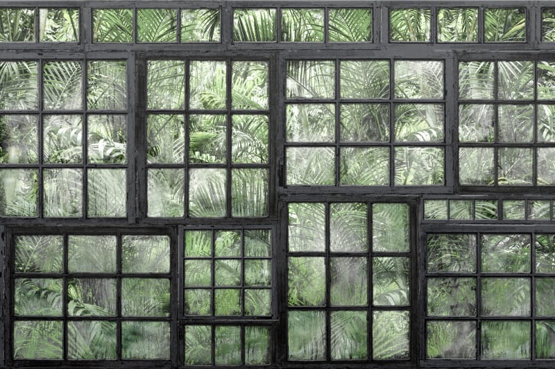 Door and Window Wallpaper Designs