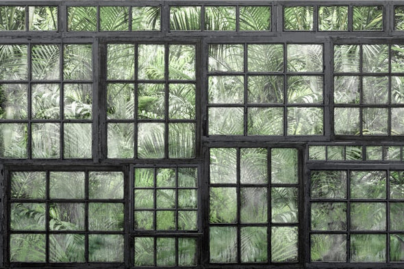 Jardin, Black Window Frames