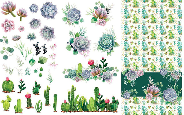 Cacti & Succulents Transfer - By Belles & Whistles