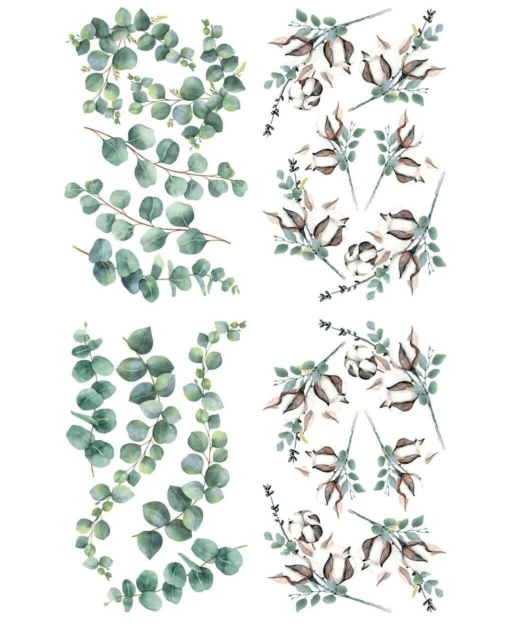 Cotton & Eucalyptus - By Belles & Whistles