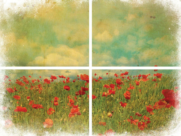Field of Flowers - By Belles & Whistles
