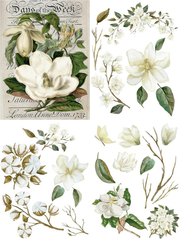 Magnolia Garden - By Belles & Whistles